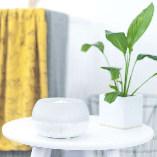 cran humidifier on table