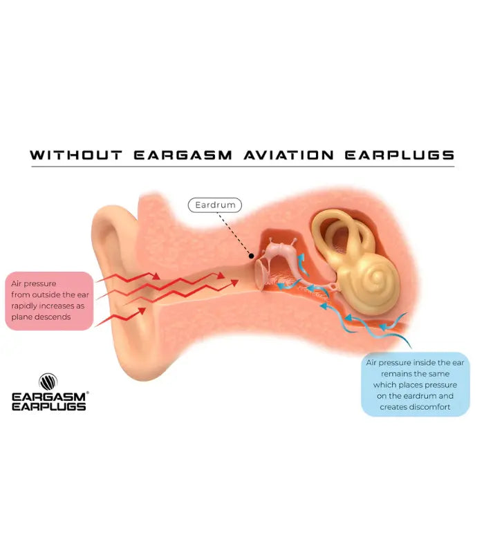 Eargasm Aviation Earplugs for Flying (2)
